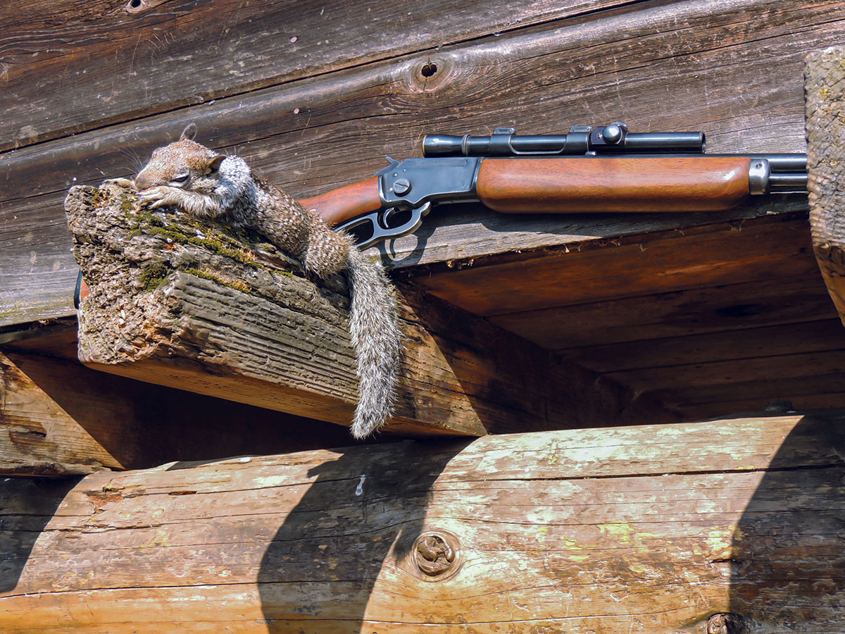 This grey digger’s tunneling days are over.